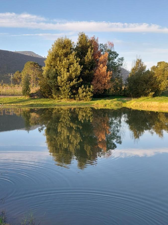 20 Good Summers Farm Stay The Crags Экстерьер фото