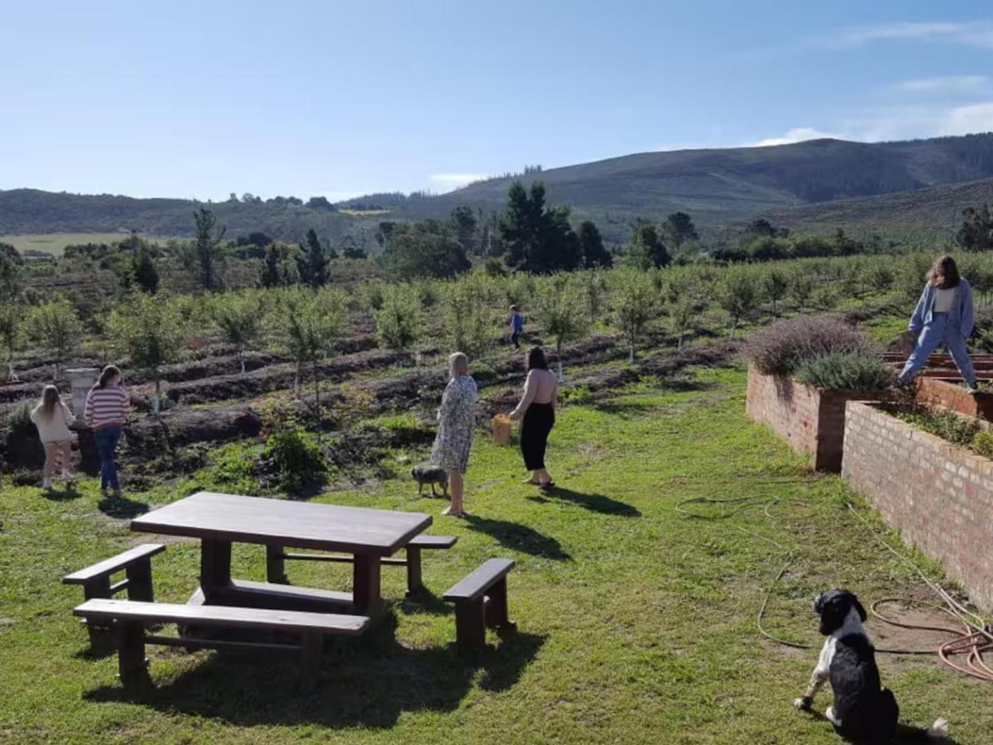 20 Good Summers Farm Stay The Crags Экстерьер фото