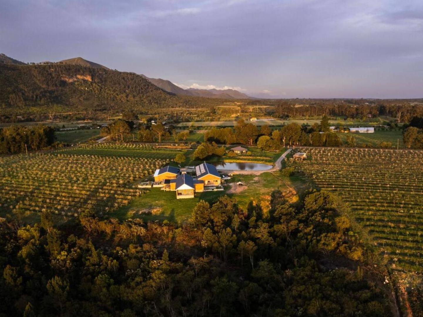 20 Good Summers Farm Stay The Crags Экстерьер фото