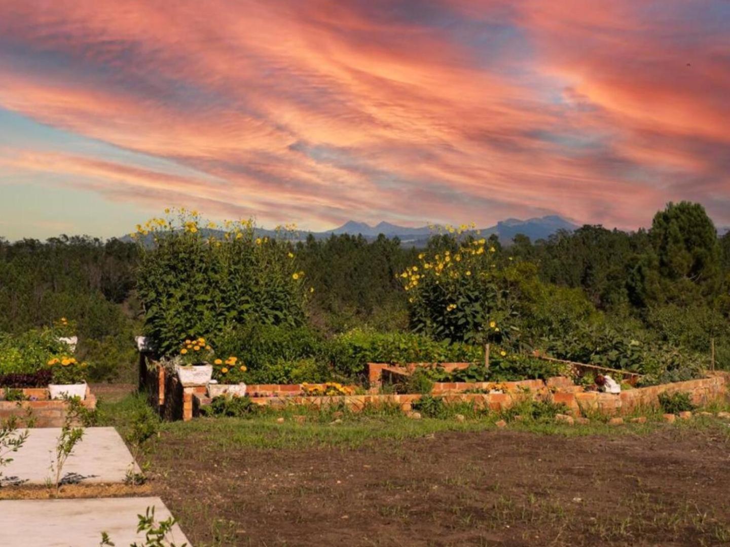 20 Good Summers Farm Stay The Crags Экстерьер фото