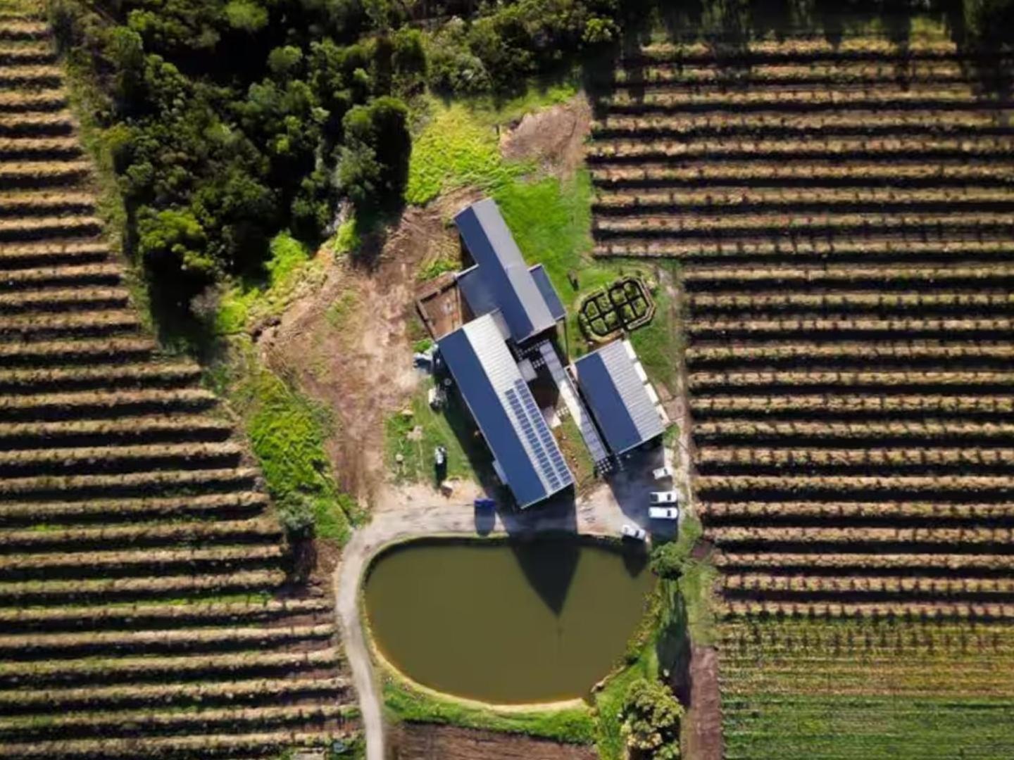 20 Good Summers Farm Stay The Crags Экстерьер фото