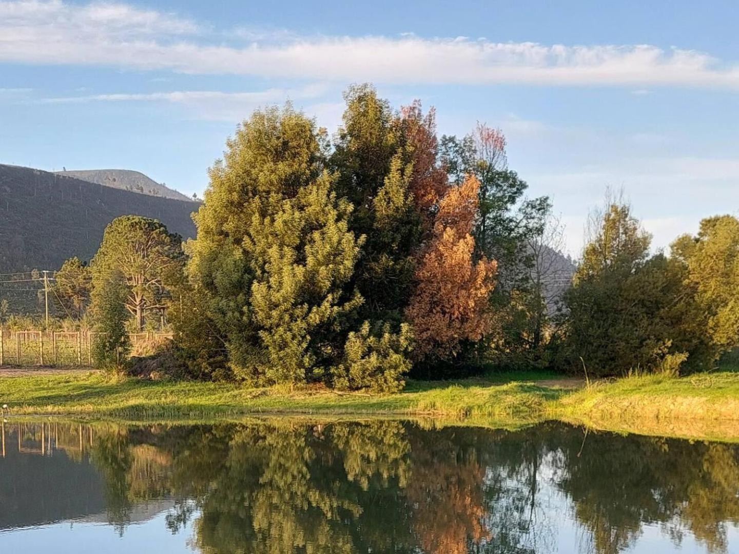 20 Good Summers Farm Stay The Crags Экстерьер фото