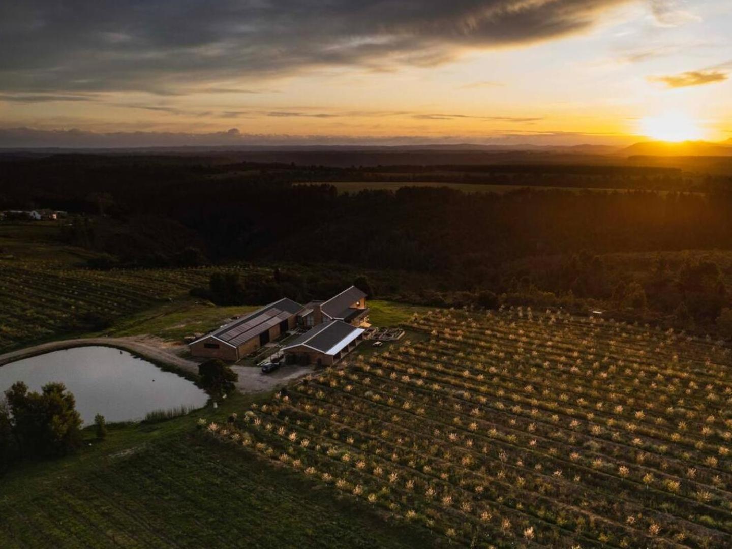 20 Good Summers Farm Stay The Crags Экстерьер фото
